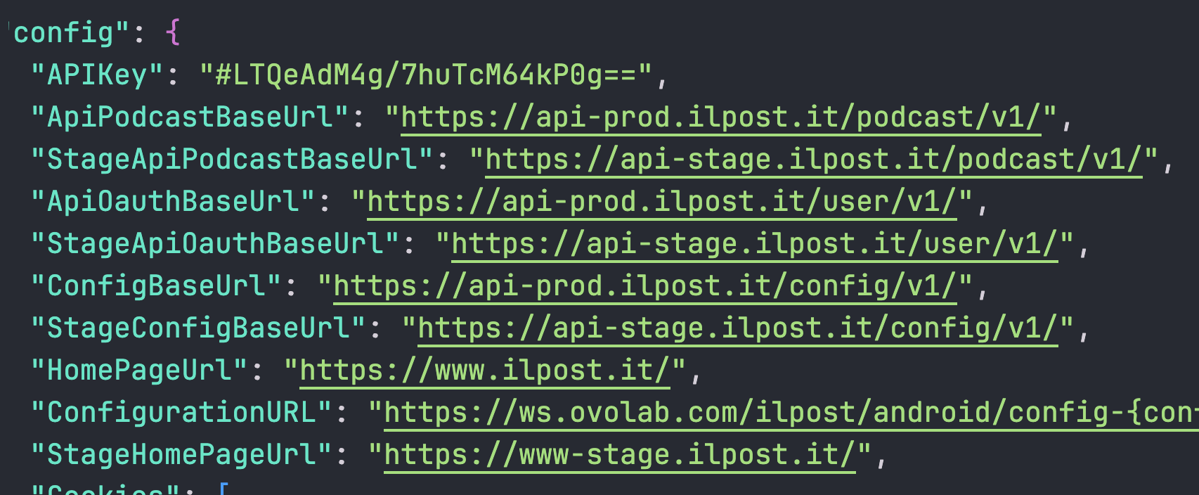 Partial json config file